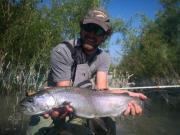 Sava Rainbow trout